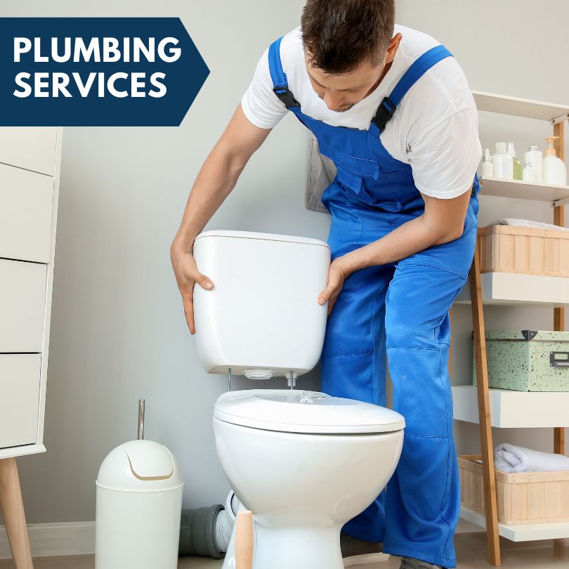 Plumbing Company in Earlham, IA